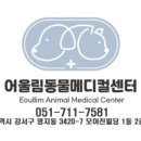 어울림동물메디컬센터 이미지