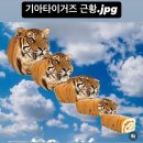 4월 제주 2박 3일: 9.81파크, 닭머르, 성이시돌, 오설록 등