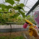 스마일2 농장 이미지