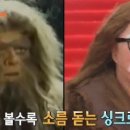 바야바야 이미지