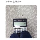 다민농장 | 지금은 무슨 계절이지