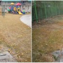 안좌초등학교 이미지