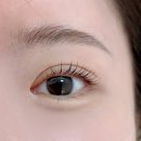 선브로우 이미지