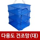 영스타 이미지