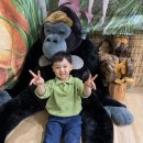 시냇가 푸른나무 유치원 이미지