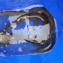 단돈낚시터 이미지