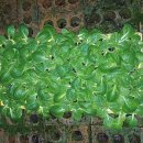 석대경로당 이미지