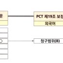 [201] 국제공개 이전에 국내단계 진입 가능 여부 이미지