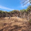 오자경 사우 이미지