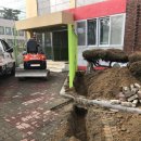 청남초교 이미지