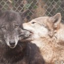 용산-현장-469 이미지