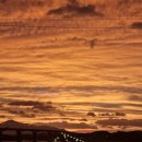 시천목장 | 사천 무지개해안도로 새우구이 사천 바다 케이블카 경남 드라이브 코스