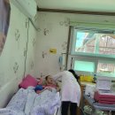문수면 보건지소 Daum카페