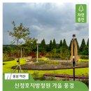 신정호국민관광지 대여소 | 아산 가볼만한곳, 신정호지방정원에서 만나는 가을 풍경