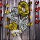 다원하개 이미지