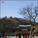 화성행궁 이미지