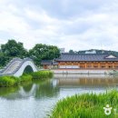 연꽃과 책, 강바람을 따라 걷는 전주 감성 여행 이미지