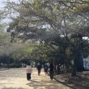 제주종합경기장 애향운동장 이미지