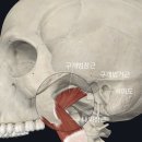 경희유엔한의원 이미지