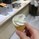 바글바글아이스크림 이미지