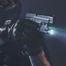 WL