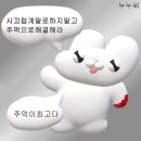 초코갤러리 네이버블로그