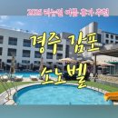 하운드 리조트 경주감포 | 경주 숙소 여름 수영장 이용 가격 감포 소노벨 바베큐 솔직 후기