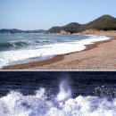 해변의 꿈 이미지