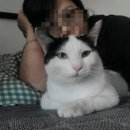 두마리찜닭두찜부산가야점 | [깡일상] 도덕적인 사람일수록 화가 많대 (6월일상)