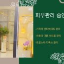 피부관리숨앤결