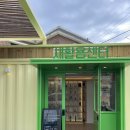 양양에 살다 이미지