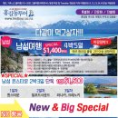 한나무투어 이미지