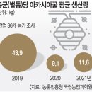 한반도서 벌꿀 사라지나… 기후 변화의 나비효과 [이슈&탐사] 이미지