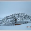 한일목장 이미지