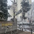 양지마을2로 10 이미지