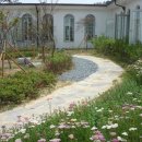 성모복지원 이미지