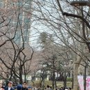 현진 법회장님 마지막 현안보고/차기 법회장에 보관 전 감사 천거/명등회의 의결 후 4월5일 법회장 이*취임식 예정 (3/29.현안보고) 이미지