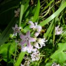 대전둘레산길(11구간) 이미지