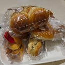 🥐 부산대표빵집 비엔씨 와이즈파크점 후기 💕