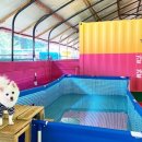 땡큐펜션 이미지