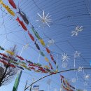 회천초등학교 | 2026 화천산천어축제 현장 구매 후기