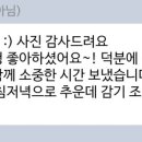 떡호랑케이크샵
