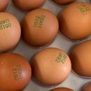 자연애찬 - 천안시 서북구 공원로 227 | 자연애찬 유정란 솔직후기🥚 난각번호 2번 계란 맛 차이 있을까?