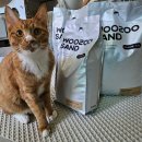 이도라돈 이미지