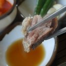 하누탕 Daum카페