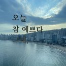 호텔 프리마베라 in Busan 이미지