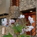 조용한생활 민박 이미지