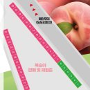 지뮤직인터네셔널협동조합 | 2022 제20회 조치원 복숭아 축제 - 2022년 7월 세종 조치원 축제 행사 가볼만한곳 날짜 기간 시간 장소...