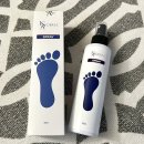 르사(LSA) 이미지