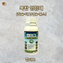 노지하우스 이미지